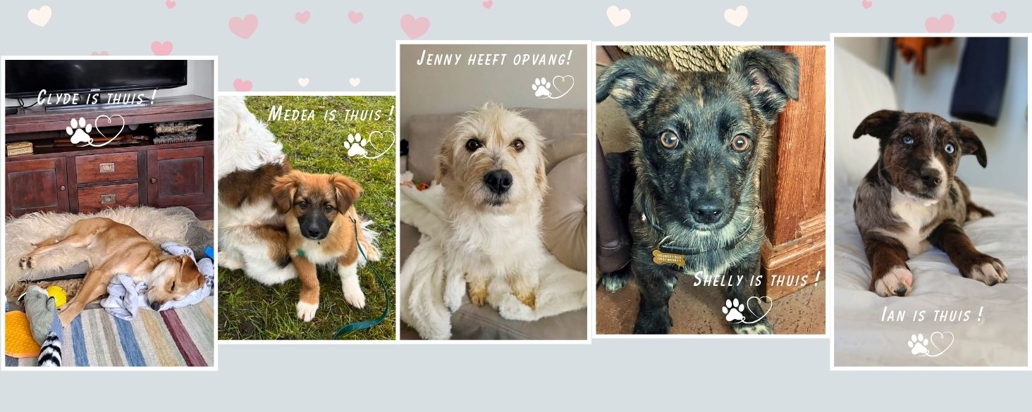 Laat Indy niet achter