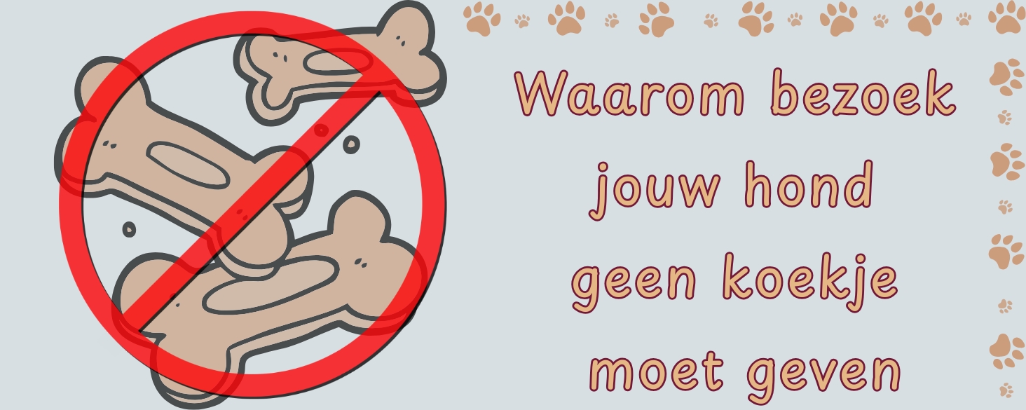 Bezoek moet hond geen koekje geven