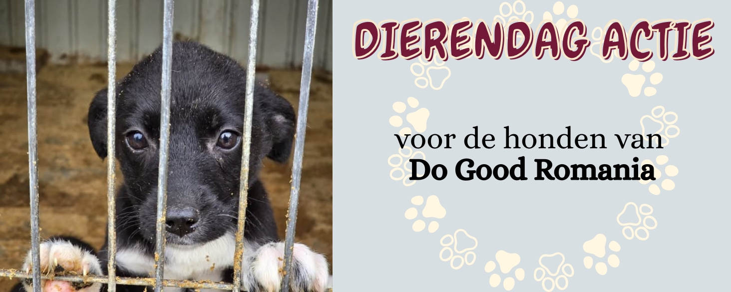 Dierendag actie 2026