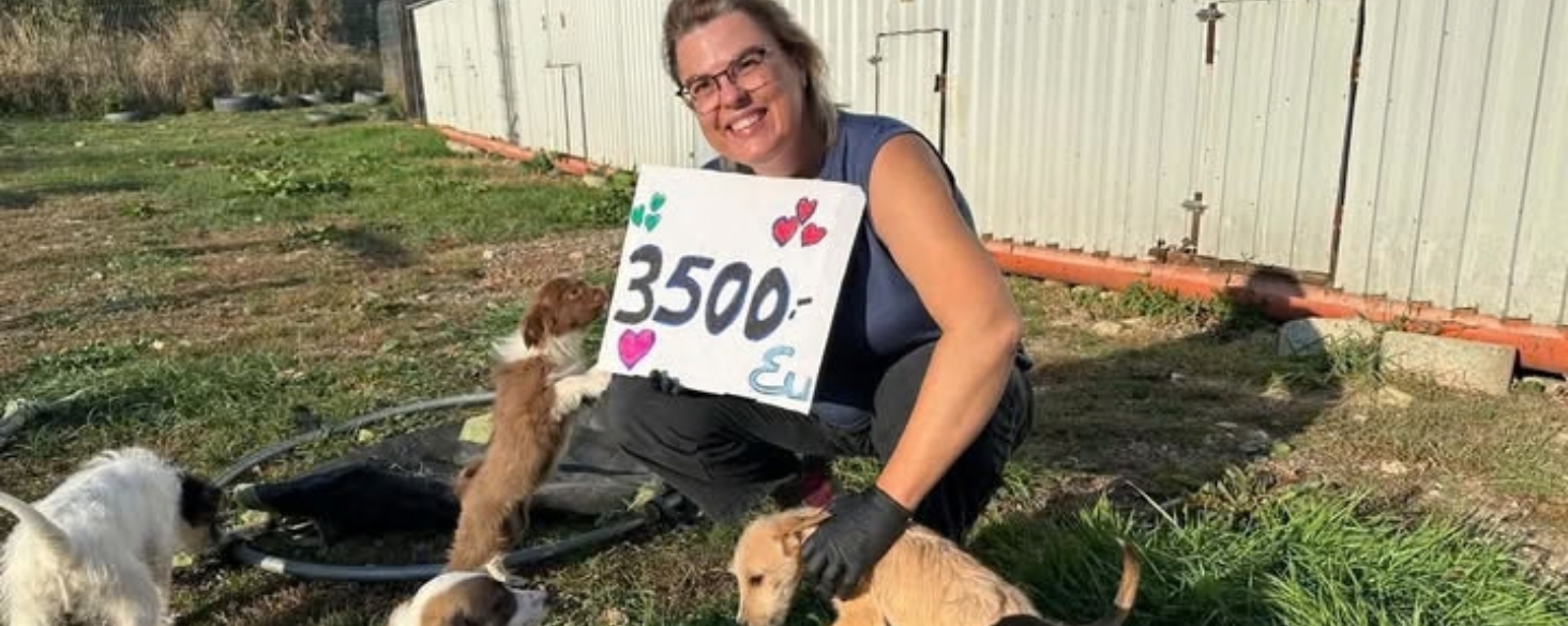 Opbrengst dierendagactie 2026