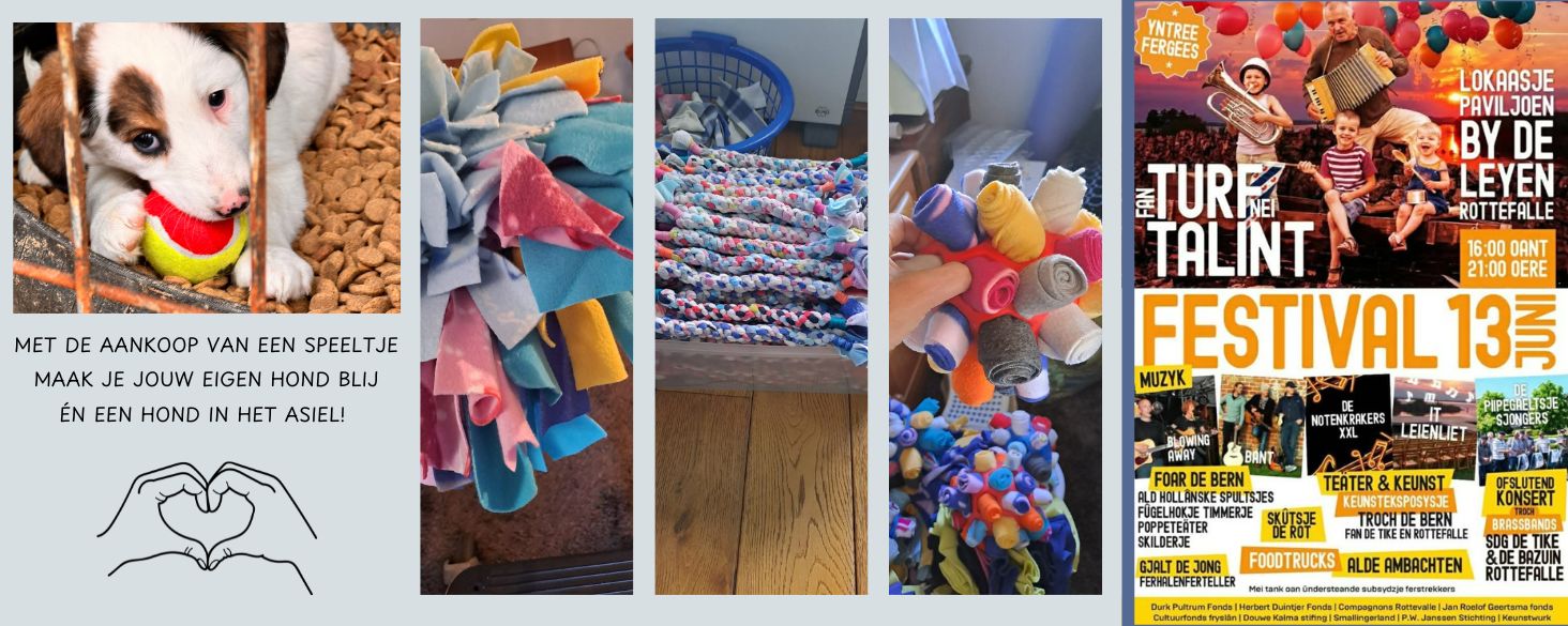 evenement rottevalle verkoop speelgoed asielhonden
