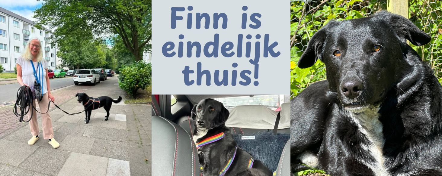 Finn is thuis