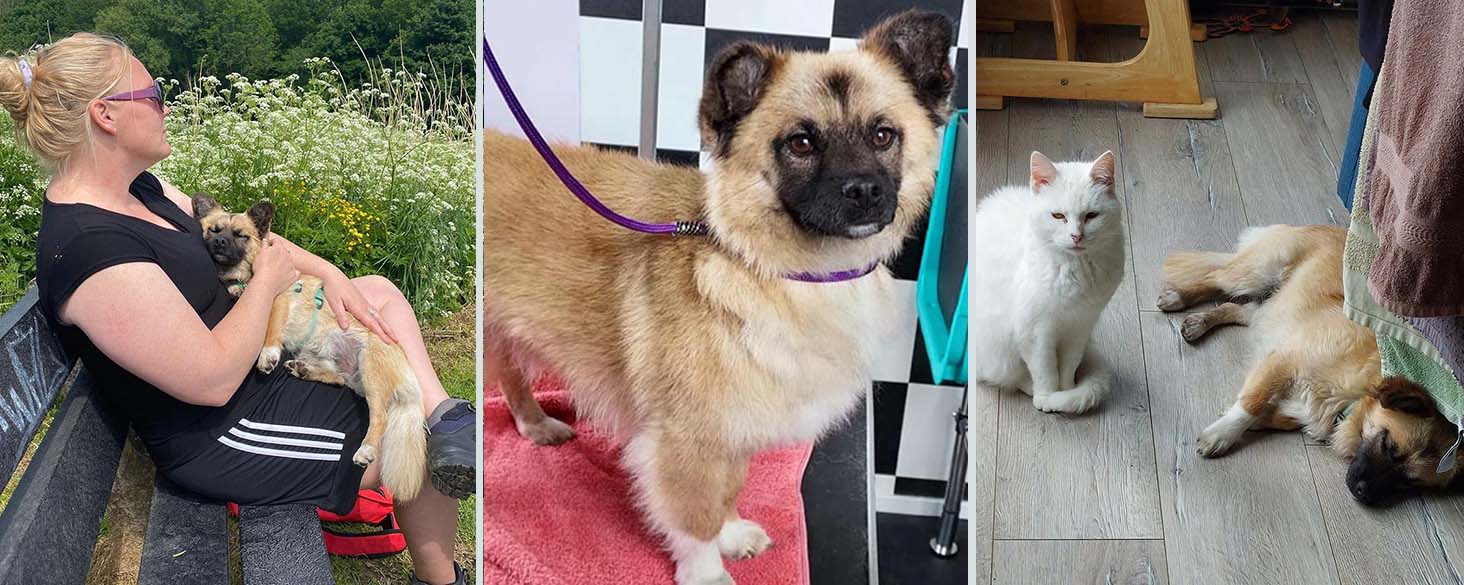 benjy klein adoptie hondje